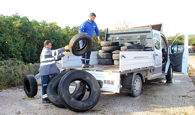 Sineklerin üreme alanı lastikler toplanıyor