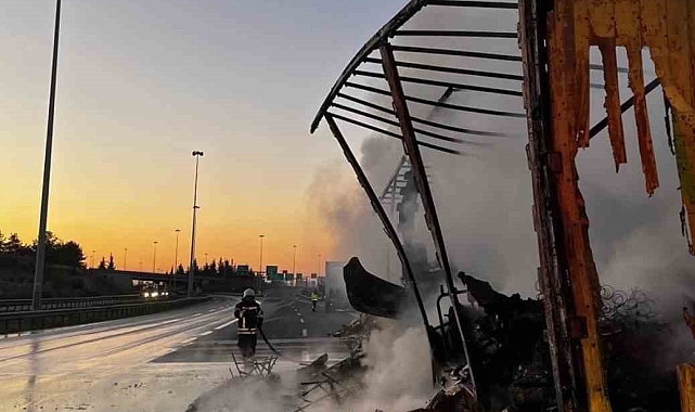 Tarsus'ta tırda çıkan yangında kargo ürünleri yandı