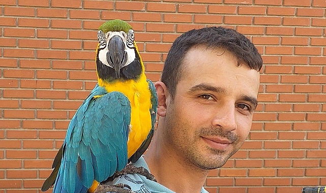 Uyandırmaya çalıştıkları mesai arkadaşlarının öldüğünü gördüler