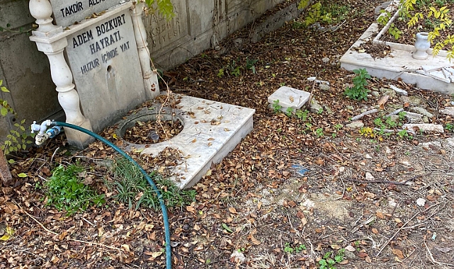 Vatandaşların İstekleri Var