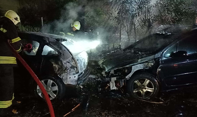 Yıldırım düşen ağacın altındaki 2 otomobil alev aldı