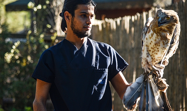 Antalya Doğal Yaşam Parkı&#039;nda geçen yıl 1171 hayvan tedavi edildi