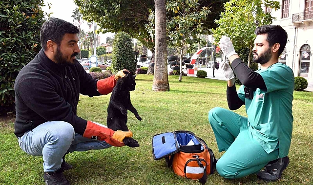 Bin patili dost sıcak yuvaya kavuştu