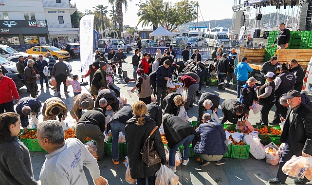 Bodrum'da 10 ton mandalina dağıtıldı
