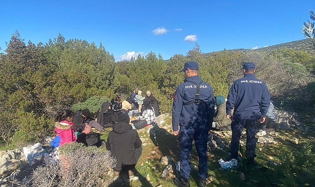 Bodrum'da 18 kaçak göçmen yakalandı
