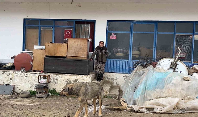 Çaresiz kadın: "Belediyeye, kaymakama ve muhtarlığa gittim, huzurevine gitmemi teklif ettiler"