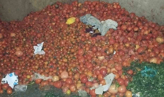Domatesleri döken pazarcılara tepki