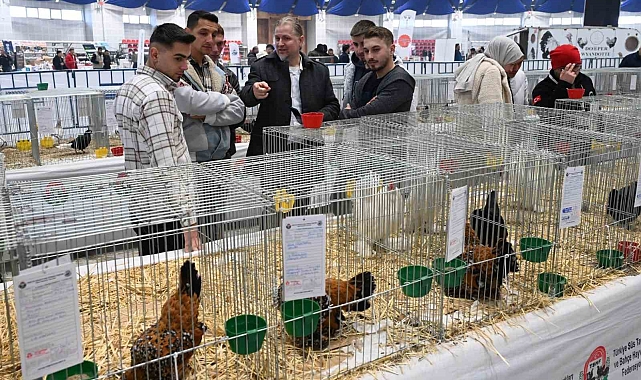 Farklı ırklardan bin 750 kanatlı hayvan ve süs tavuğu Isparta'da