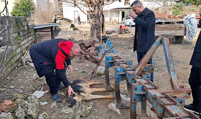 Hayvanlarına zarar verdiğini öne sürdüğü köpeği av tüfeğiyle vurdu