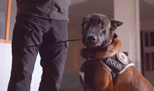 Isparta'nın narkotik kahramanı Milon, üçüncü kez 'ayın köpeği' seçildi