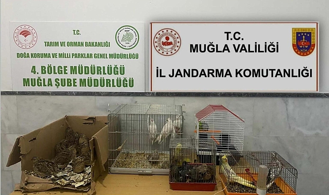 Kahvehanede Kaçak Irk Hayvan Üretimi ve Satışına Ceza