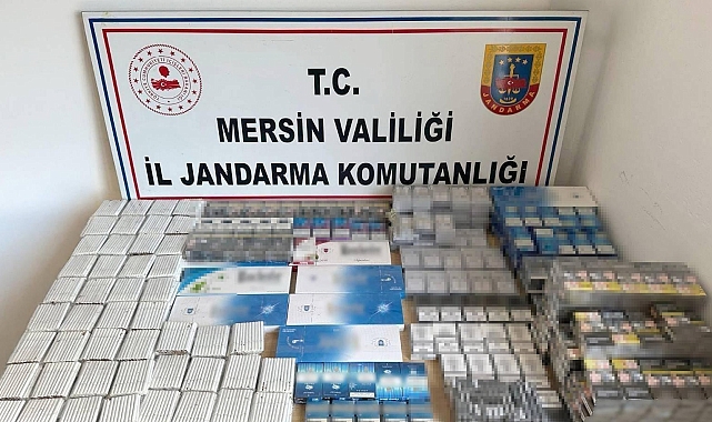 Mersin'de kaçakçılık operasyonu: 1 gözaltı