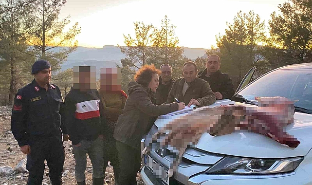 Mersin'de Yaban Keçisi Avlayan 2 Şahsa 673 bin TL Ceza Kesildi