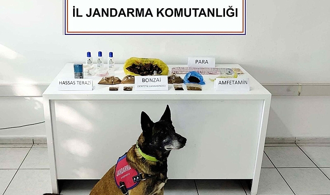 Muğla'da apart odasındaki uyuşturucuyu 'Uçak' buldu; 1 tutuklama