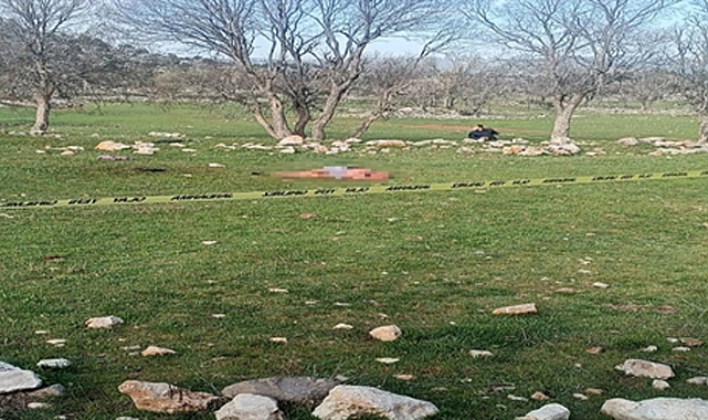 Saldırdıkları kadını öldüren köpeklerin sahibine 4 yıl 5 ay hapis