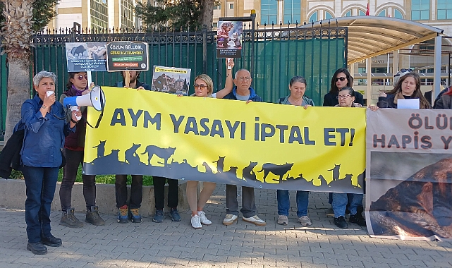 Sokak Hayvanları İçin Yaşam Hakkı İstediler