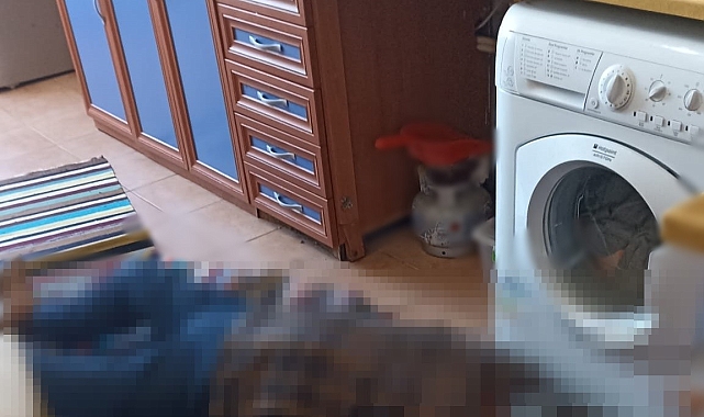 Tarsus'ta yaşlı adam evinde ölü bulundu