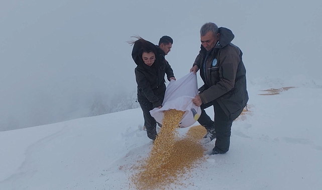Yaban hayvanları için doğaya yem bırakıldı