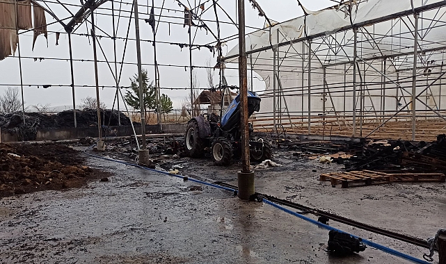Yangında sera hasar gördü