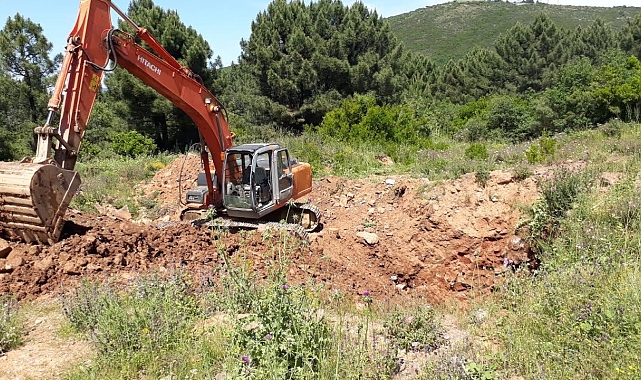 19 Yıl Önce Kaybolan Yasemin'in Öldürülüp, Ormana Gömüldüğü Ortaya Çıktı