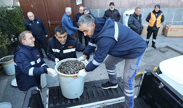 Antalya Otobüs Terminali'nde 300 kilogram midyeye el konuldu