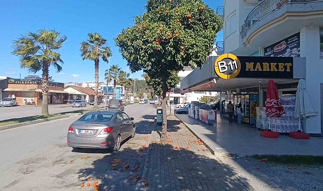 Antalya'da şiddetli fırtına turunçları dallarından koparıp yola savurdu
