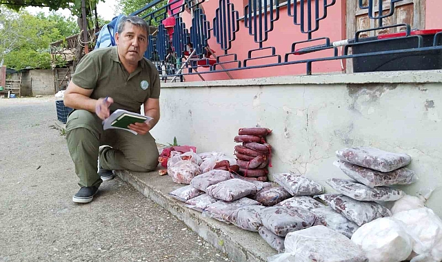 Antalya'da yasa dışı avlanan 48 kilo yaban keçisi ve kızıl geyik eti buzdolabında bulundu