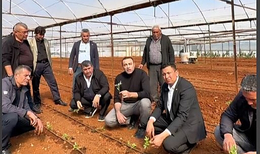 Aykut Kaya Domates Üreticilerini Yalnız Bırakmadı