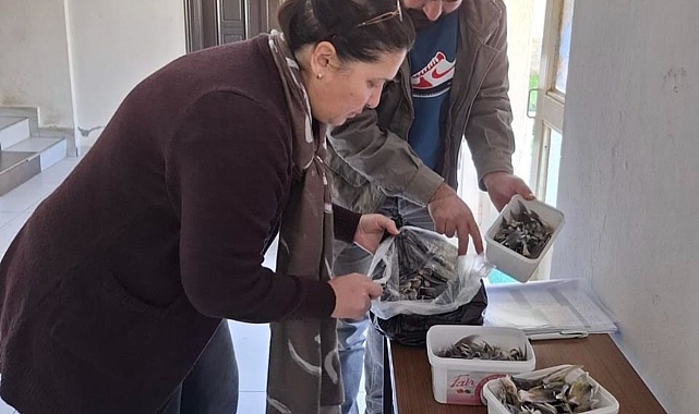 Balon Balığıyla Mücadele Kapsamında Balıkçılara Bilgilendirme Yapıldı