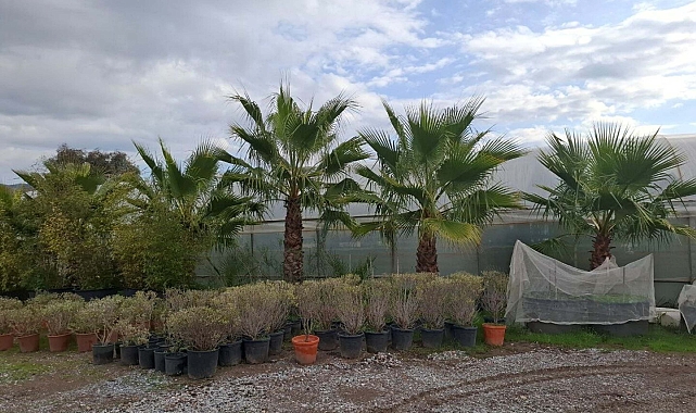 Bodrum'da 123 işletme denetlendi; kurallara uymadığı belirlenen 9'una ceza