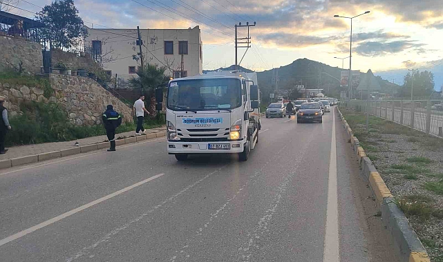Bodrum'da köpeğin havlamasından irkildi, kamyonun altında kaldı