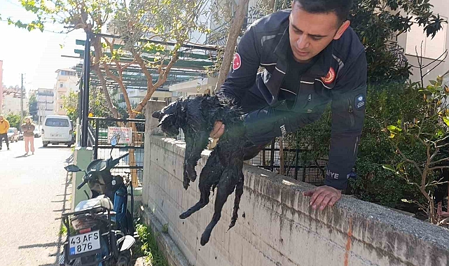 Ev yangınında 2 kişi çatıdan kurtarıldı