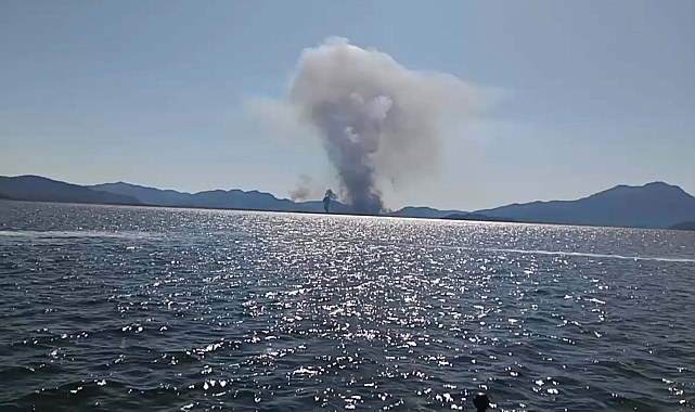Köyceğiz Gölü'ndeki sazlık alanda yangın