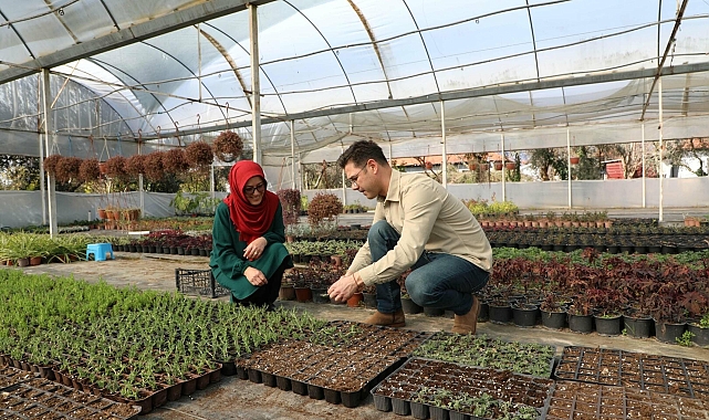 Muğla'da alım garantili üretim yerel üreticiye kazandırıyor