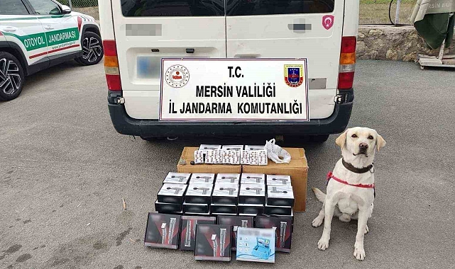 Narkotik köpeği uyuşturucu hapları buldu: 3 gözaltı