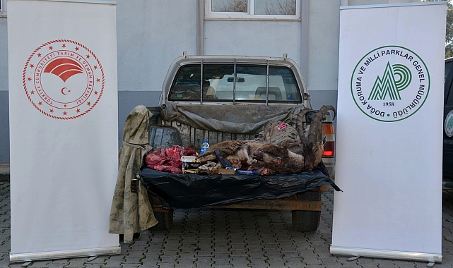 Yaban keçisi avcıları yakalandı