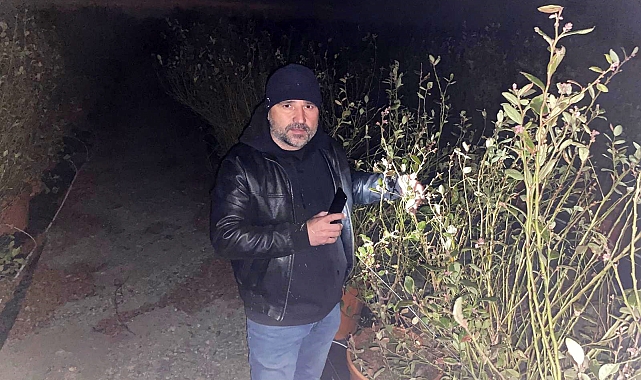 Zirai dona karşı dumanlı mücadele