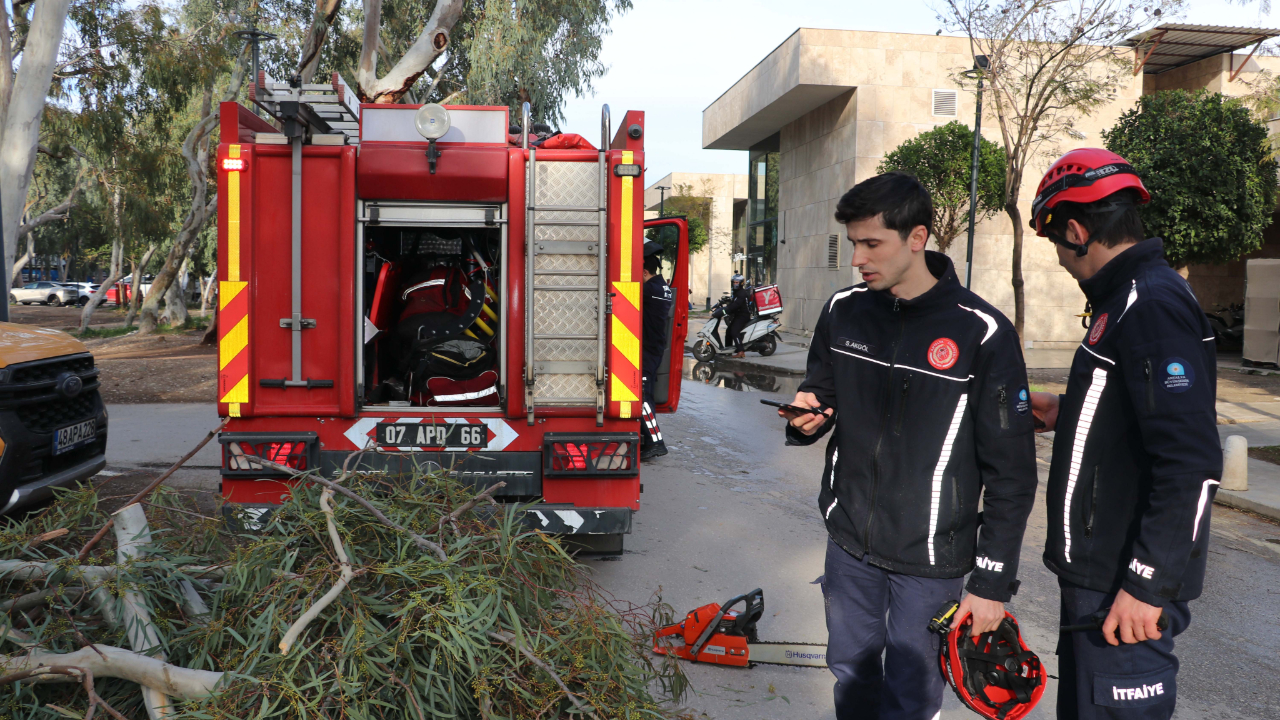 Rüzgarın devirdiği ağaç 2 otomobilin üzerine düştü