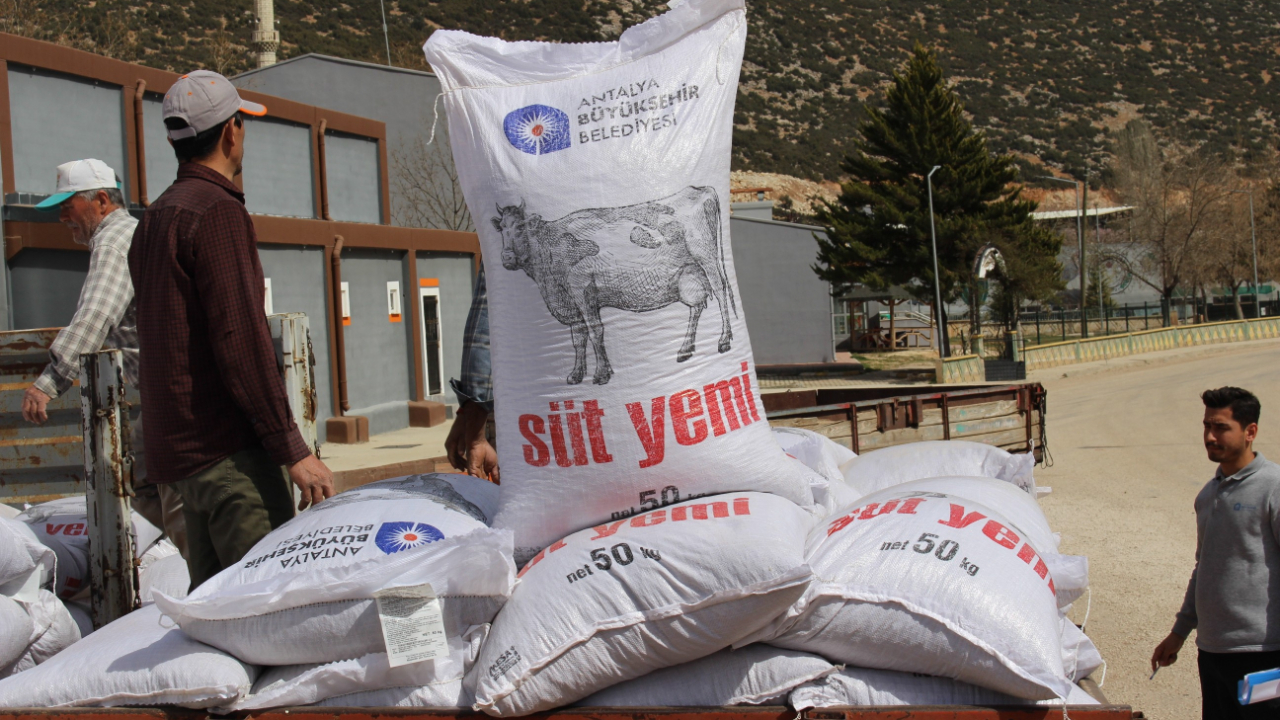 Büyükşehir’in üreticilere yem desteği sürüyor