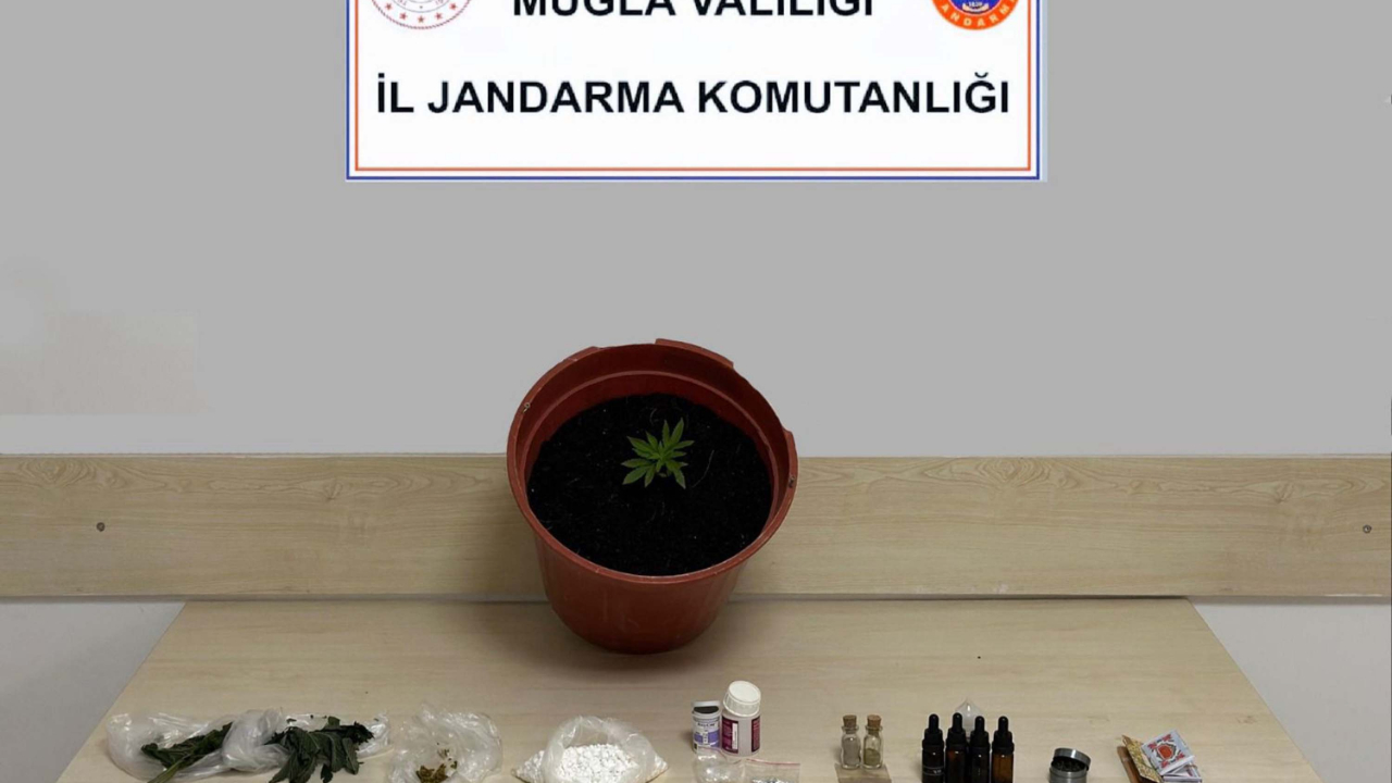 Muğla'da uyuşturucu operasyonunda 1 tutuklama