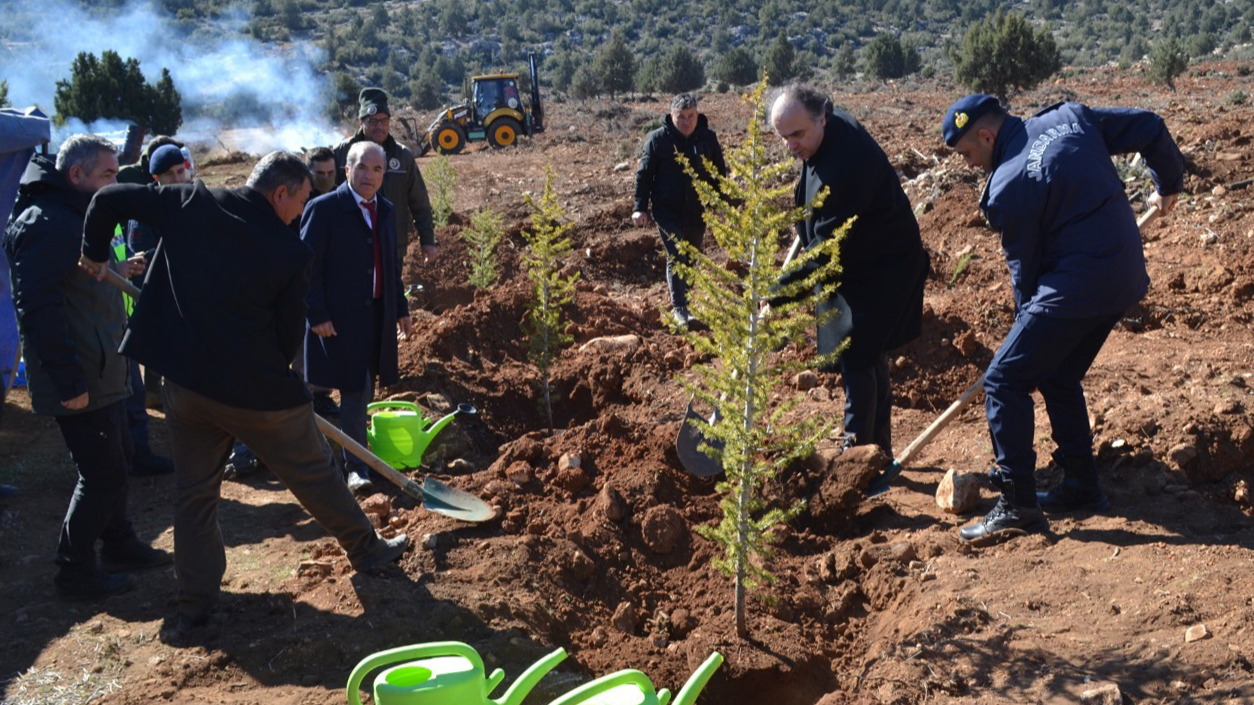 Korkuteli'de fidanlar toprakla buluştu