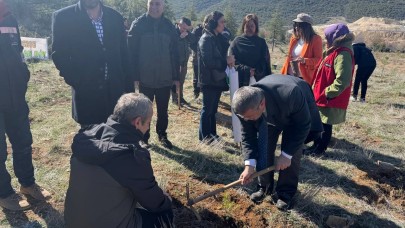 Eğirdir'de 260 fidan dikildi.