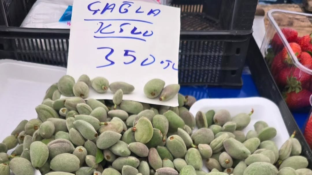 Baharın Müjdecisi “Çağla” Tezgahlarda Yerini Aldı