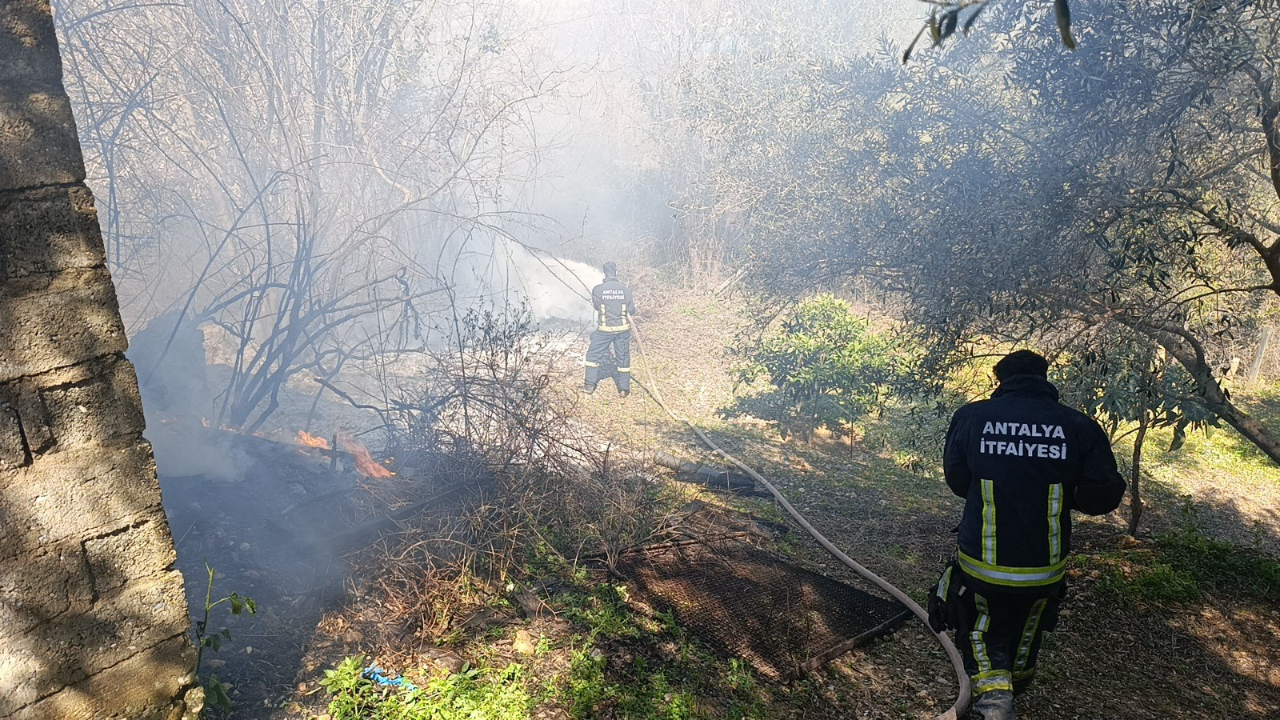 Yangın, Jandarma ve itfaiyenin müdahalesi söndürüldü