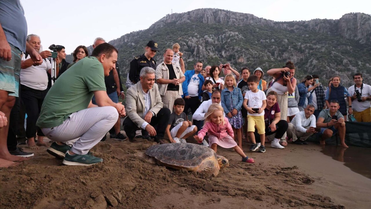 Tatilcilere bayram öncesi caretta caretta uyarısı: Beslemeyin