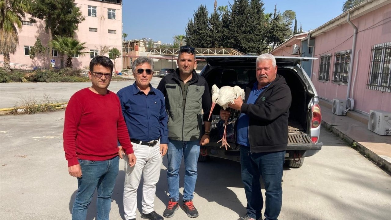 Yaralı leylek ormancılar tarafından kurtarıldı