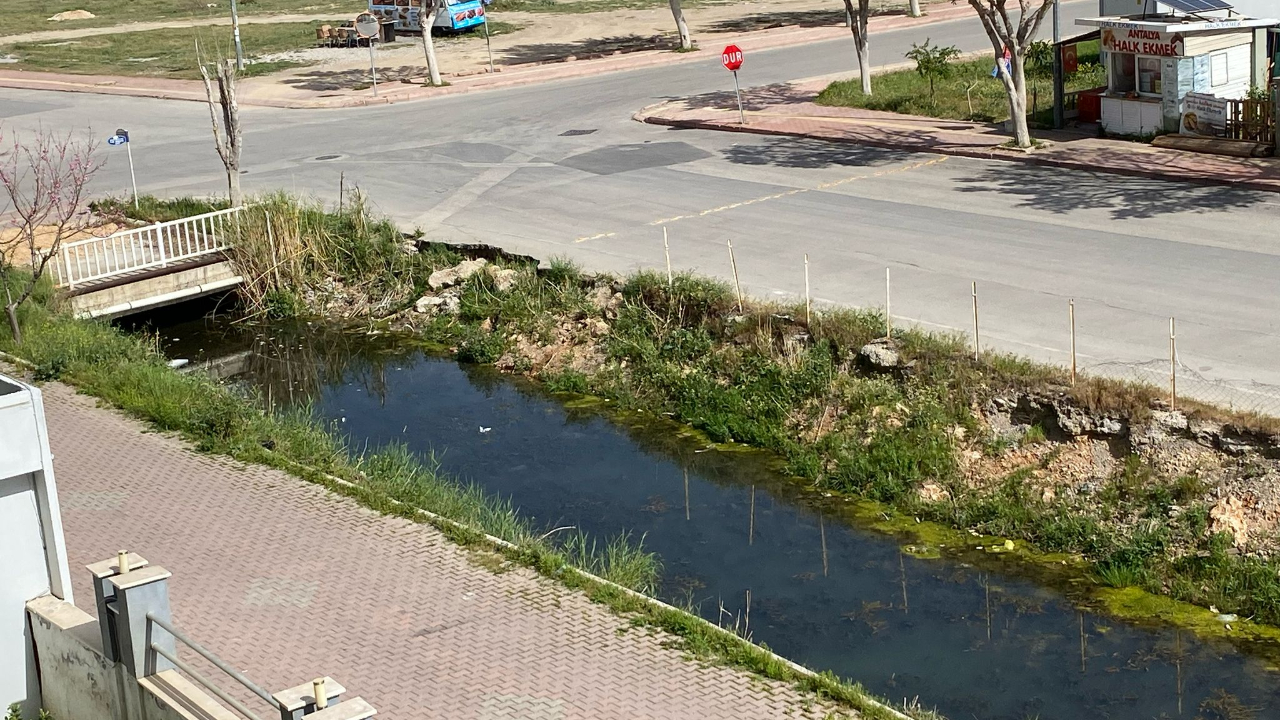 Kötü Kokan Dere Vatandaşı Bezdirdi
