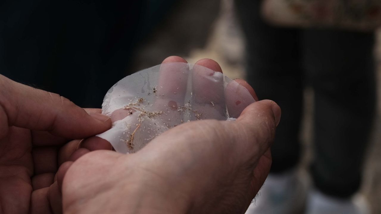 Datça-Bozburun Özel Çevre Koruma Bölgesi'nde 'mikroplastik' alarmı