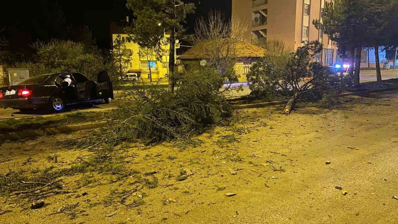 Isparta’da otomobil refüje çarparak 3 ağacı devirdi: 1 yaralı