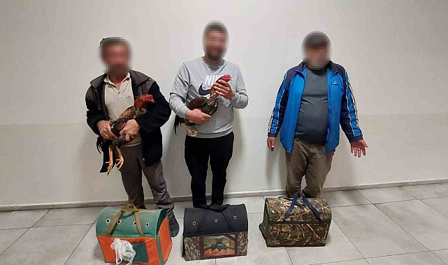 Antalya'da dövüşe hazırlanan horozlar muhafaza altına alındı